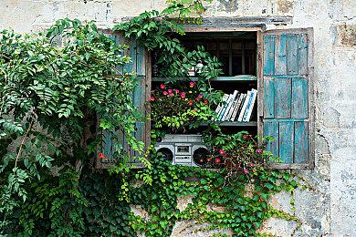 《魔咒之地》或将改编成动画 但要先看玩家反馈而定